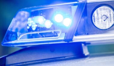München: Vierjähriges Kind durch Hundebiss ins Gesicht verletzt