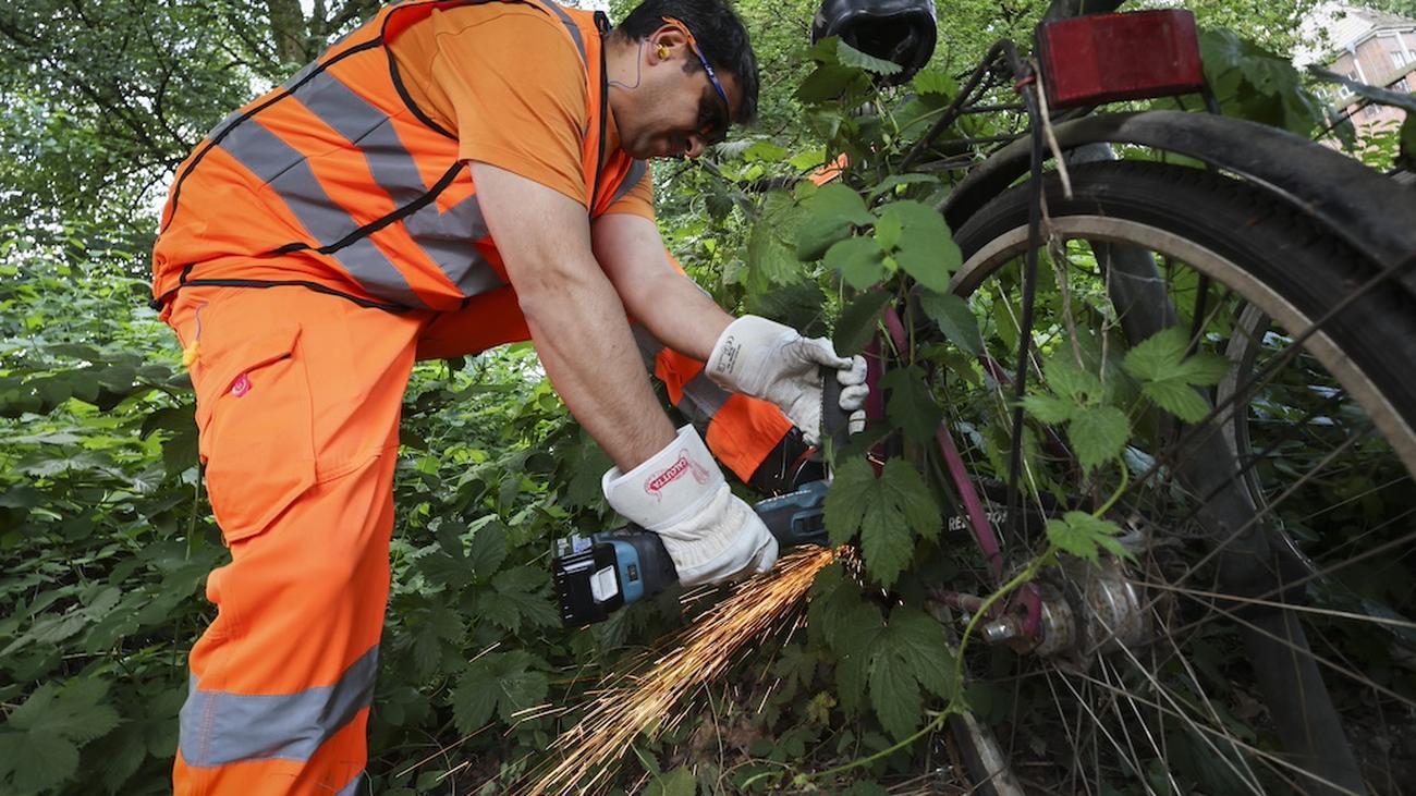 Elbvertiefung: Der tägliche Newsletter aus Hamburg: Wenn die Stadt alte Fahrräder abflext, ist endlich Platz für Fahrräder