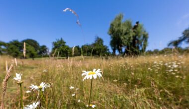 Wetter: Heißer Sommerstart in Berlin und Brandenburg