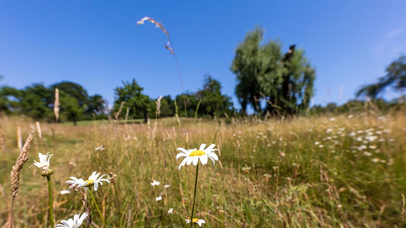 Wetter: Heißer Sommerstart in Berlin und Brandenburg