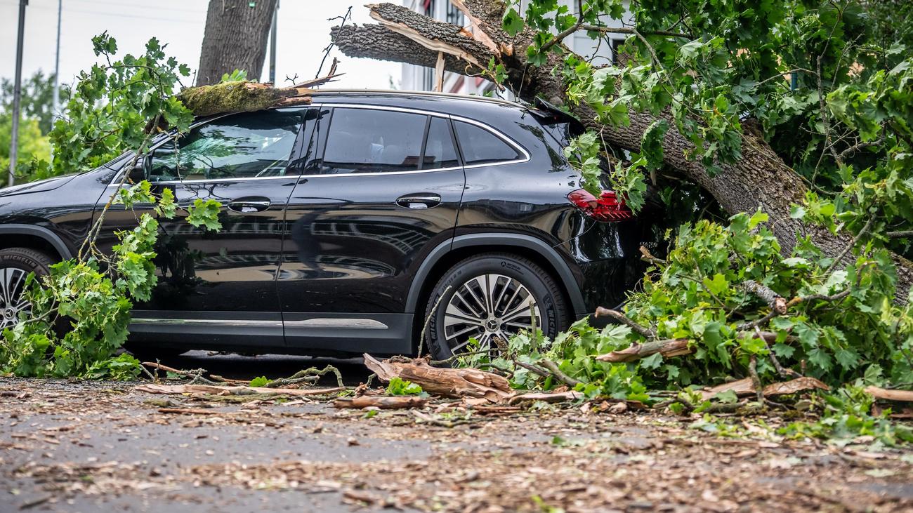 Unwetter in Berlin: Baum erschlägt eine Person bei Sturm, drei weitere schwer verletzt