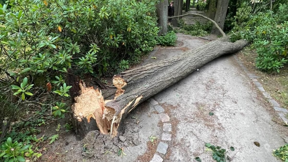 Teilweise bewölkt