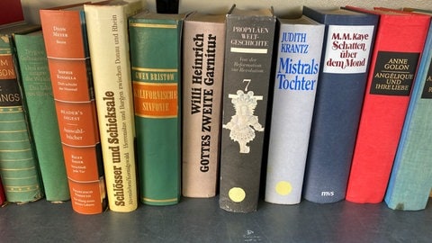Ein Buchregal mit mehreren Büchern in einem Bücherschrank in Mainz. Manche Bücher haben gelbe Klebepunkte auf dem Buchrücken.