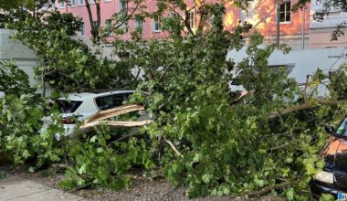 Vorhersage: Wetter in Berlin und Brandenburg: Wolkig und windig