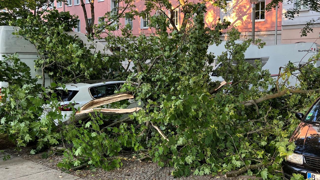 Vorhersage: Wetter in Berlin und Brandenburg: Wolkig und windig
