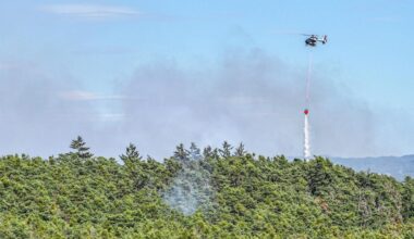Notfälle: Waldbrand nahe Nürnberg - Wohnheim vorsorglich evakuiert