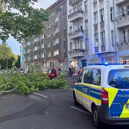 Abgebrochene Äste liegen nach einem Sturm auf einer Straße in Berlin-Prenzlauer Berg neben einem Einsatzfahrzeug der Polizei. Heftige Sturmböen sorgen am Abend für zahlreiche Einsätze von Feuerwehren und Rettungsdiensten. Der Zugverkehr im gesamten S-Bahn-Netz wurde eingestellt, wie die Berliner S-Bahn mitteilte. (Quelle: dpa/Homburger)
