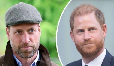 Prinz Williams neue Taktik im Umgang mit Harry