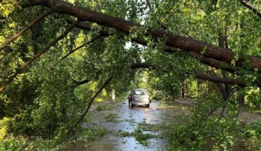 Bildergalerie: Sturm zieht über Brandenburg und Berlin hinweg