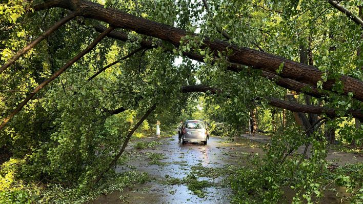 Bildergalerie: Sturm zieht über Brandenburg und Berlin hinweg