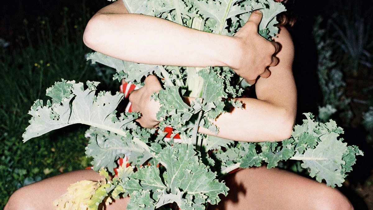 Die Sehnsucht nach dem Leben, das fortgeht — der Freitag