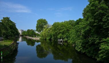Klimaschutz: Grüne wollen eine Million Bäume für Berlin