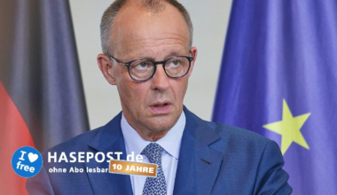 Linken-Chef fordert Merz zu Ukraine-Friedensgesprächen mit China auf
