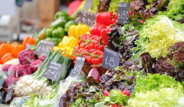Staatliche Initiative in Großbritannien soll Ernährung verbessern – News – Deutsches Ärzteblatt