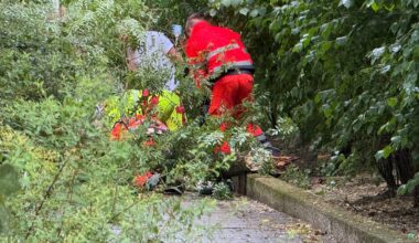 Unwetter in Berlin: Frau von Baum erschlagen, drei Menschen in Lebensgefahr | Regional