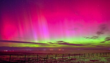 Neue Polarlichter: Spektakuläre Nacht in Deutschland erwartet | Leben & Wissen