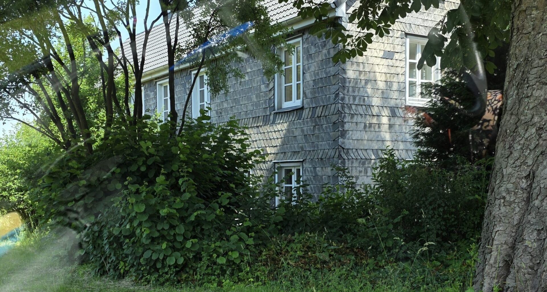 TIERSCHUTZZENTRUM WUPPERTAL – ALLES UMSONST?