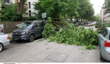FW-M: Herabfallender Ast beschädigt mehrere Fahrzeuge (Neuhausen)