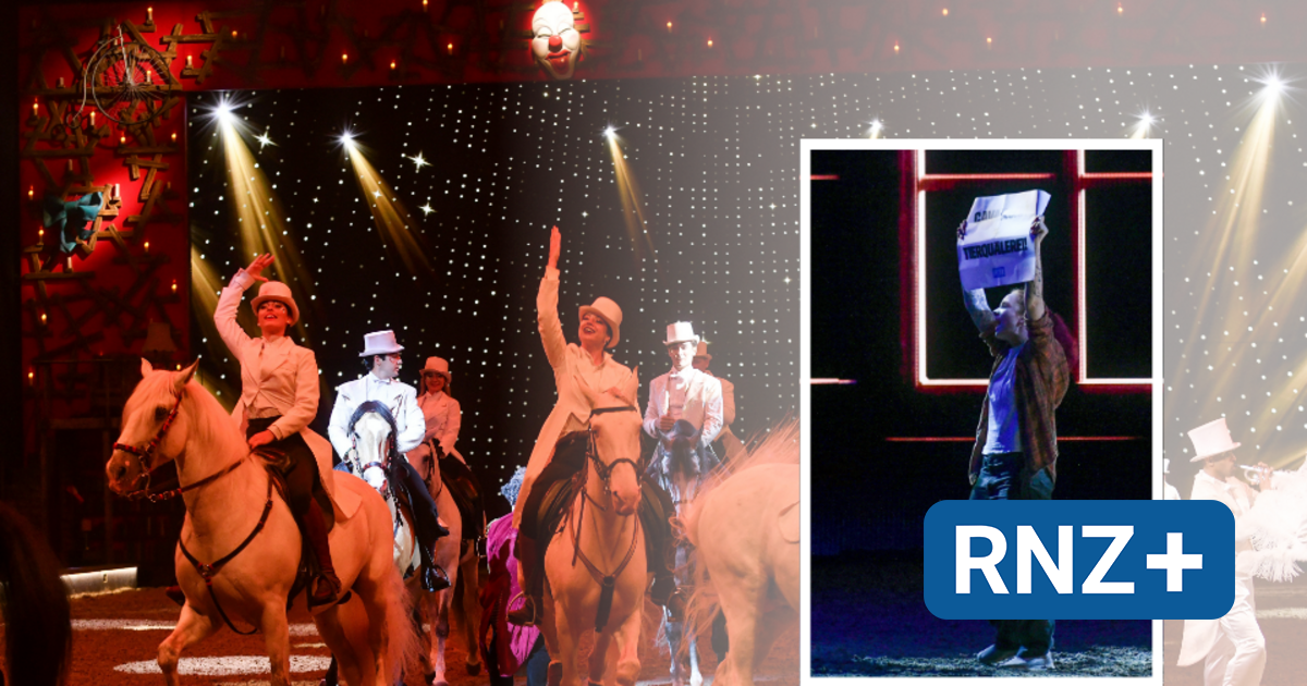 SAP Arena Mannheim: Peta-Tierrechtsaktivistin stürmt Manege bei Reitershow "Cavalluna" - Mannheim und Metropolregion Rhein-Neckar - Nachrichten und Aktuelles