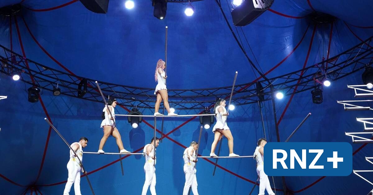 Mannheim: Ein Blick hinter die Kulissen des Circus Gebrüder Barelli (Fotogalerie) - Mannheim und Metropolregion Rhein-Neckar - Nachrichten und Aktuelles