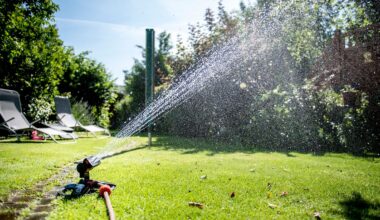 Regionen reagieren auf Dürre: Rasen sprengen mit öffentlichem Wasser verboten