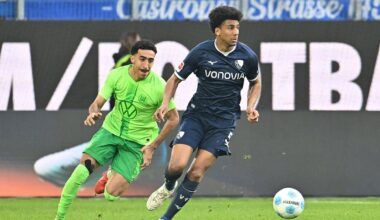 Hoffenheim holt Defensivmann Bernardo aus Bochum | NRW