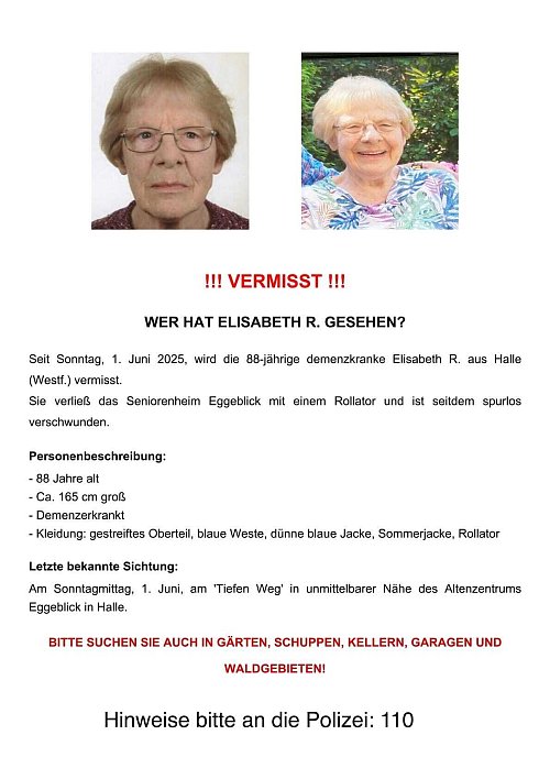 So sieht der Flyer der privaten Suchgruppe aus, der am Donnerstag großflächig in Halle und Umgebung verteilt wird. - © Suchgruppe