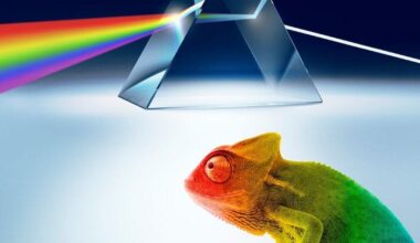 Wochenendtipps für Bielefeld: CSD-Party am Samstag, viel Musik und ein bunter Museumsbesuch