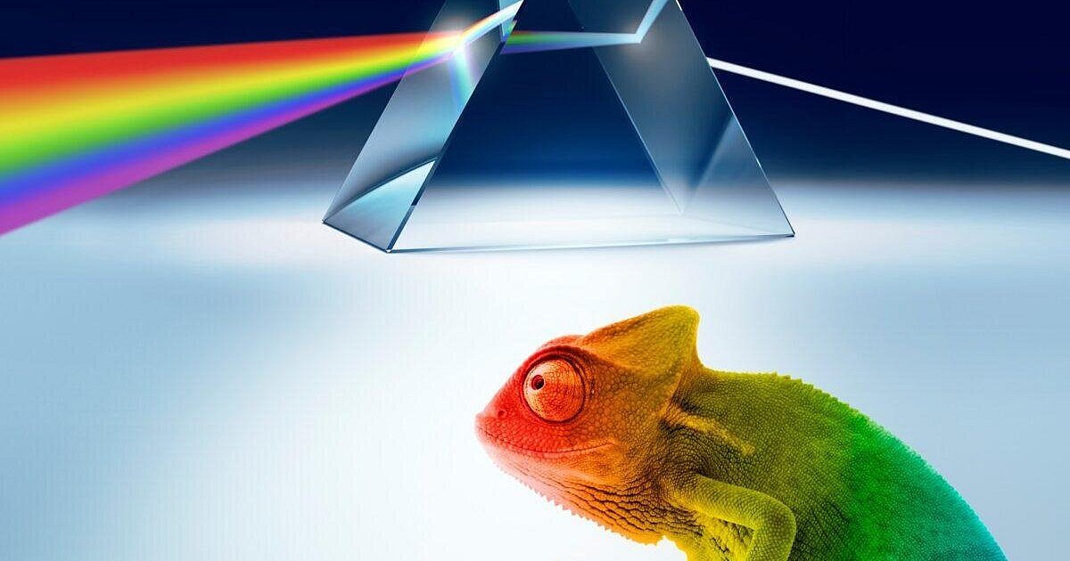 Wochenendtipps für Bielefeld: CSD-Party am Samstag, viel Musik und ein bunter Museumsbesuch