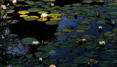 Von ruhiger Natur und Großstadt-Trubel: Die Bilder der Woche 23
