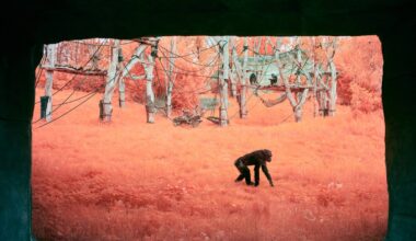 Zu sehen ist ein Foto eines Affengeheges im Zoo fotografiert von Tom Wesse.