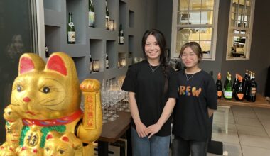 ZVW Plus Artikel