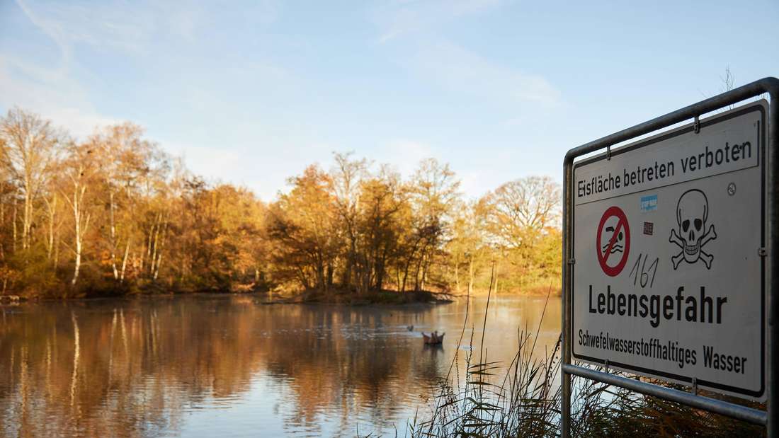 Der Silbersee in Nürnberg: Wer hier ins Wasser fällt, hat kaum Chancen zu überleben.