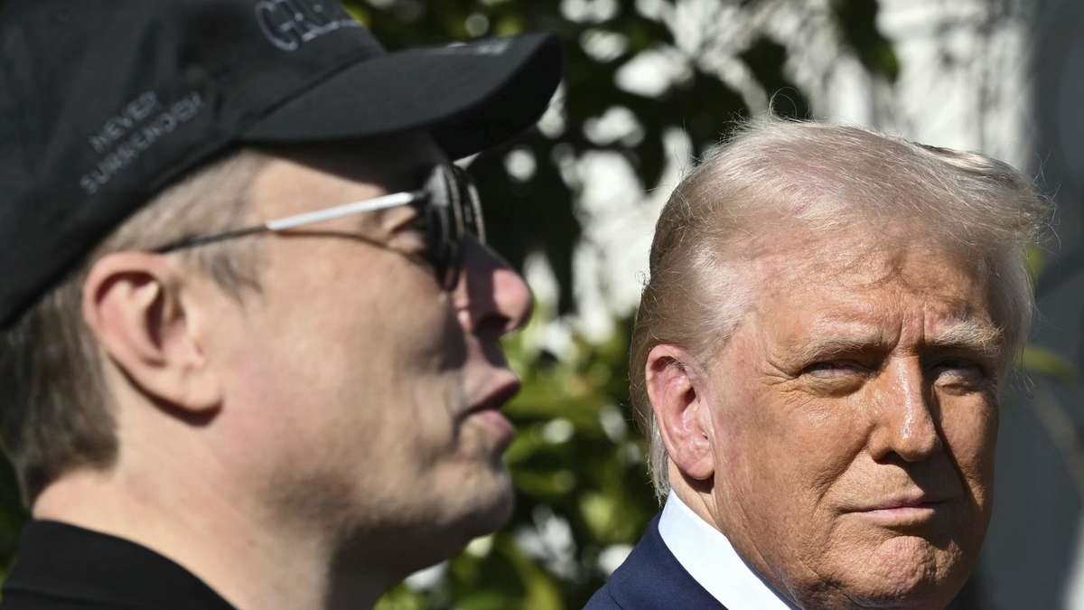 „Vielleicht werden die Teslas irgendwo in den Wald gestellt“