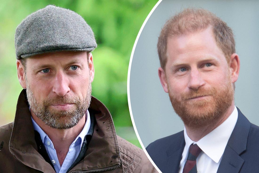 Links Prinz William bei einem Besuch in Dartmoor, rechts Prinz Harry im April 2025 beim Verlassen des Gerichts in London.