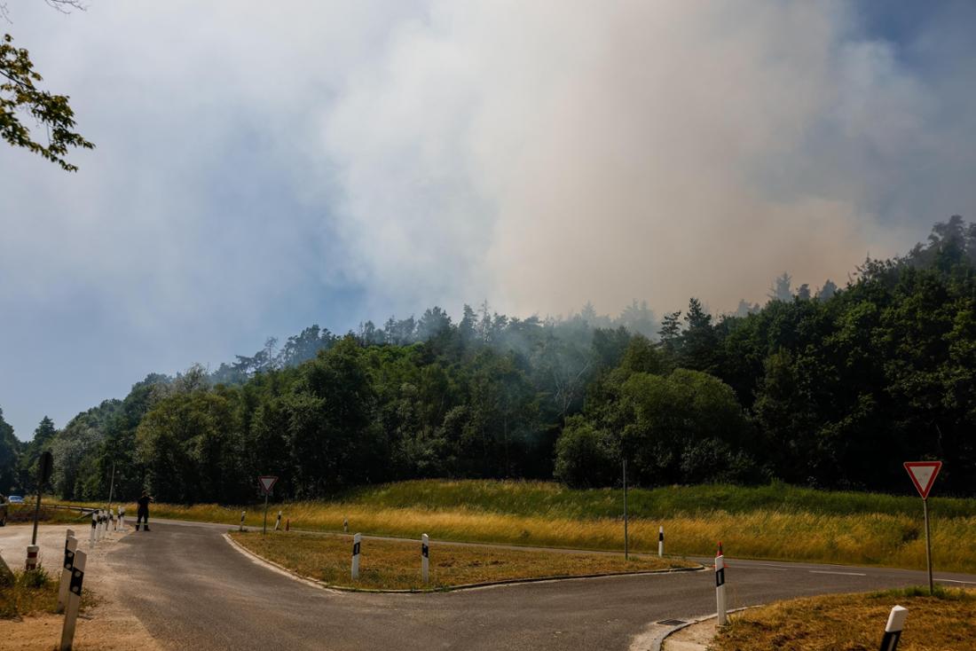 Ein Waldstück unweit von Nürnberg steht in Flammen.