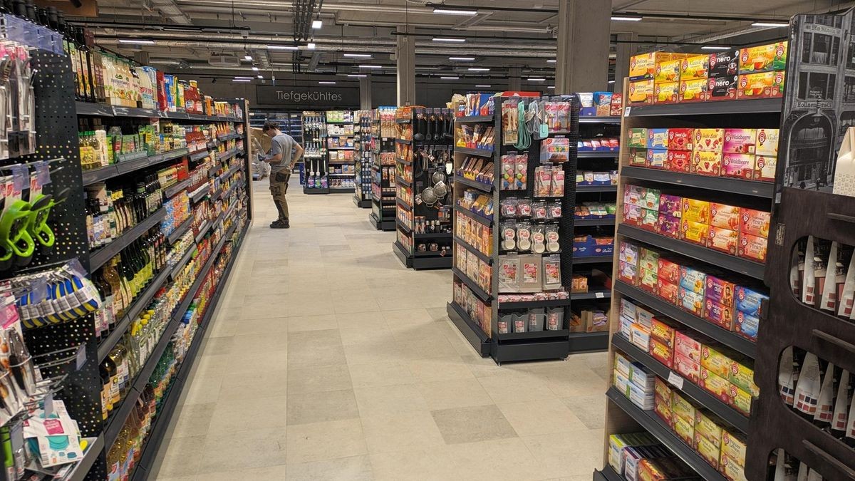 Regale Edeka LEhrter str