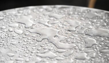 In Berlin drohen Schauer und Gewitter