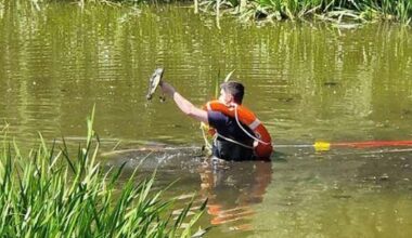 Polizei Berlin jagt Alligator im Wasser