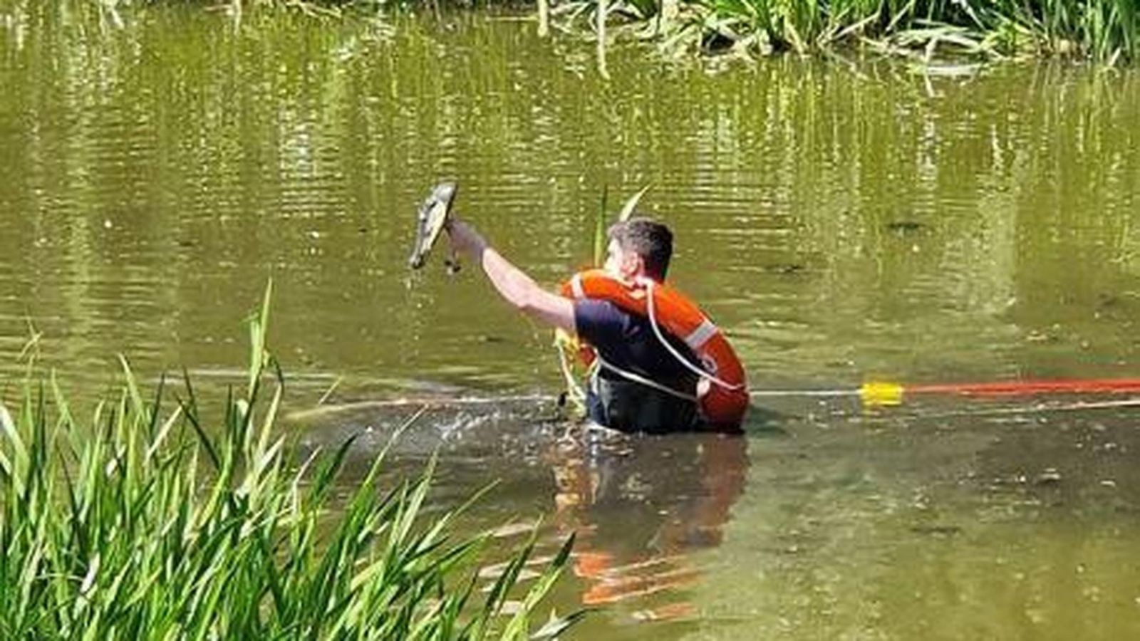 Polizei Berlin jagt Alligator im Wasser
