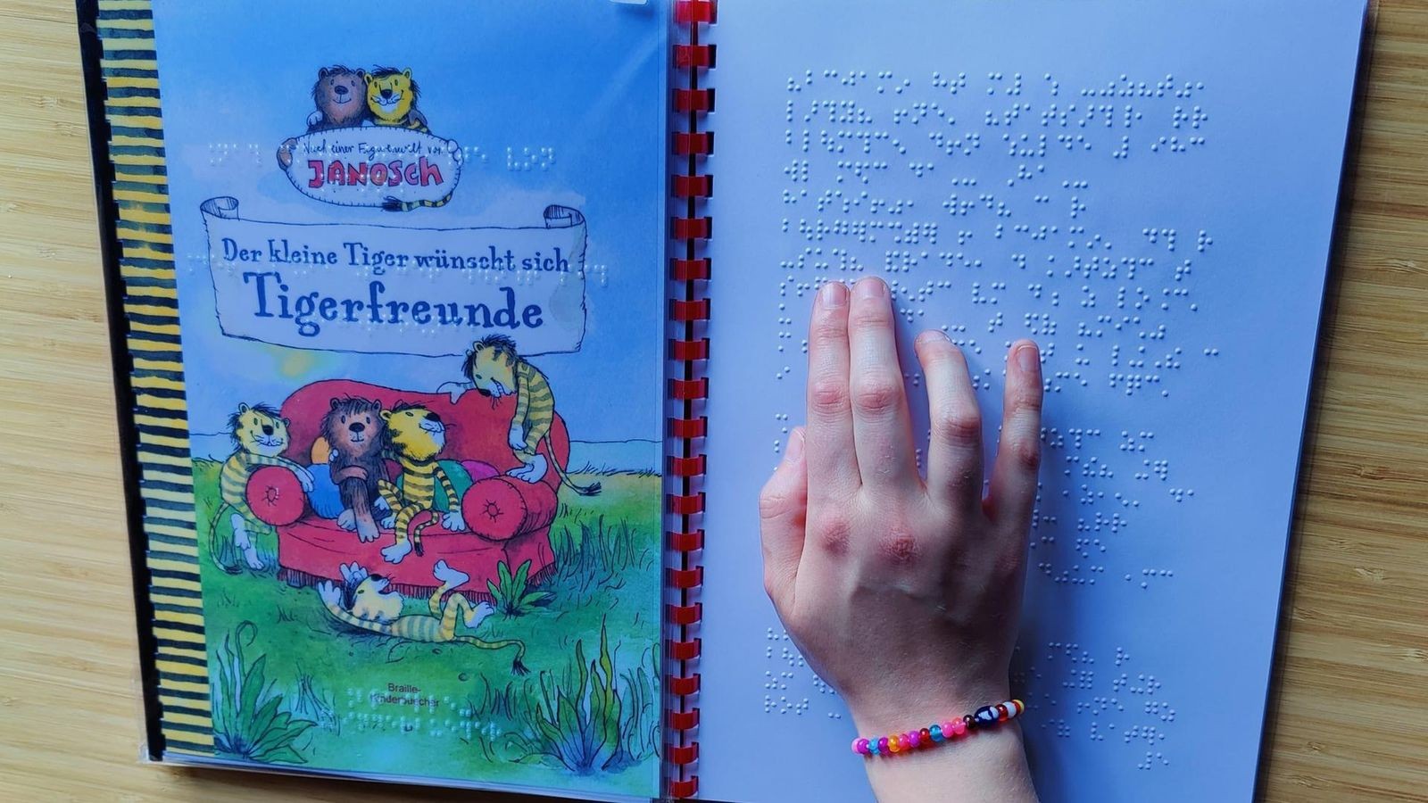 So können blinde Kinder Literatur lesen