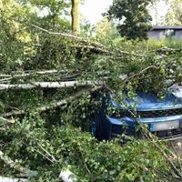 26.06.2025, Berlin: Ein durch schwere Böen entwurzelter Baum liegt auf einem Auto im Berliner Stadtteil Heiligensee. (zu dpa: «Unwetter ziehen über Teile Deutschlands») Foto: Jens Dudziak/dpa +++ dpa-Bildfunk +++
