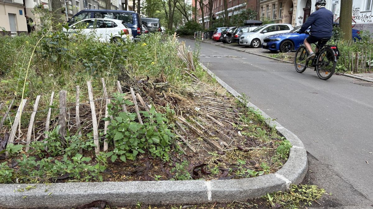 Parken in Kreuzberg