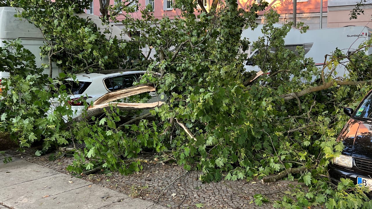 Tote und Verletzte in Berlin: Hat der Wetterdienst den Sturm verschlafen? | News
