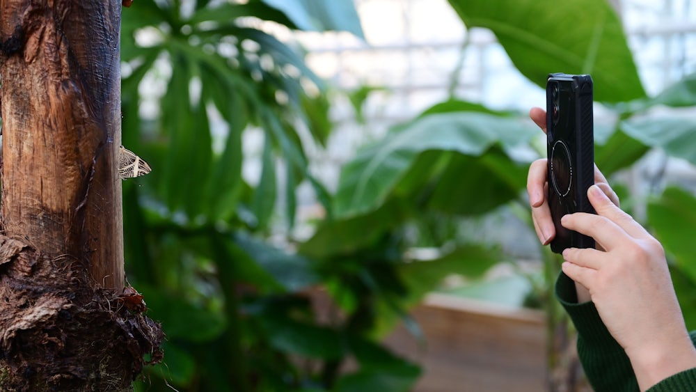 Mit einer App kann man das wild lebende Pflanzen- und Tierreich im Botanischen Garten dokumentieren, um die Artenvielfalt sichtbarer zu machen.