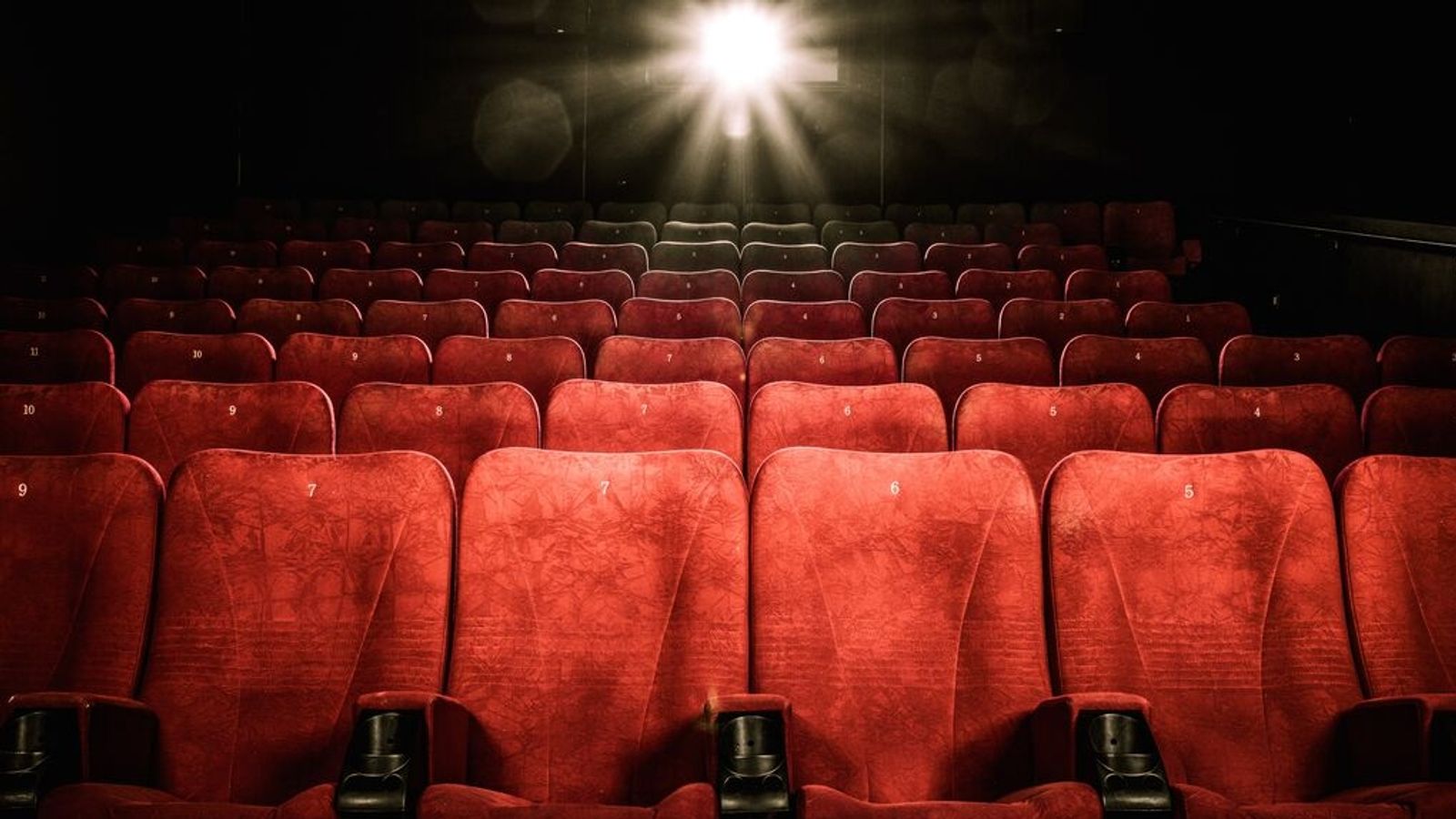 Wie "Letterboxd" eine neue digitale Filmkultur schafft