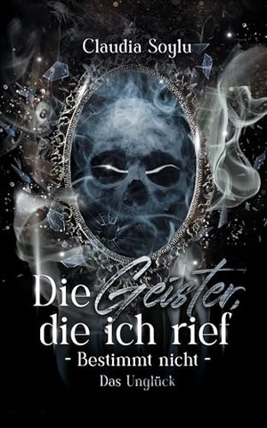 Das Unglück: Die Geister, die ich rief? Bestimmt nicht! (Band 10)