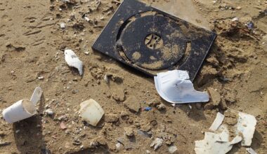 90 Prozent unter dem Sand: Hawaiis malerische Strände sind voller "unsichtbarem" Plastikmüll