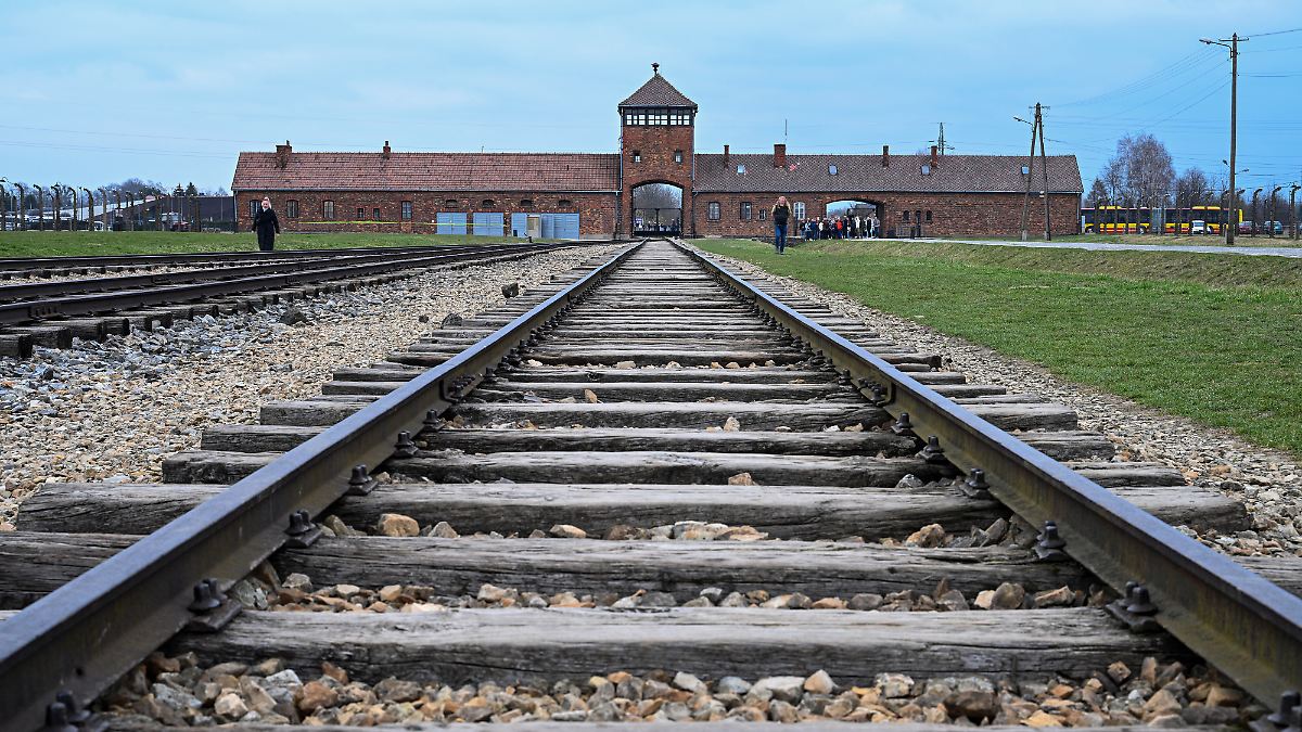 Vorfall in Auschwitz: Zwei Greifswalder Neuntklässler fliegen nach rechtsextremer Geste von der Schule