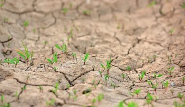 Grundwasser sinkt teils deutlich: Hälfte aller Landkreise verbraucht zu viel Wasser